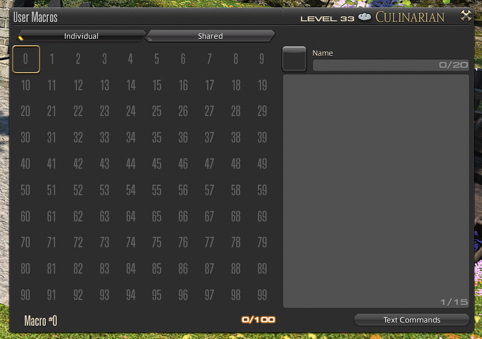 Screenshot of FFXIV.